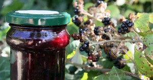 confiture mure 5