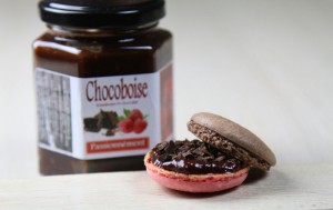 chocoboise1