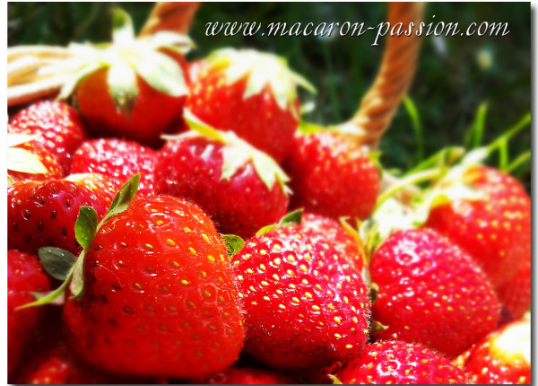 fraises fabulette C